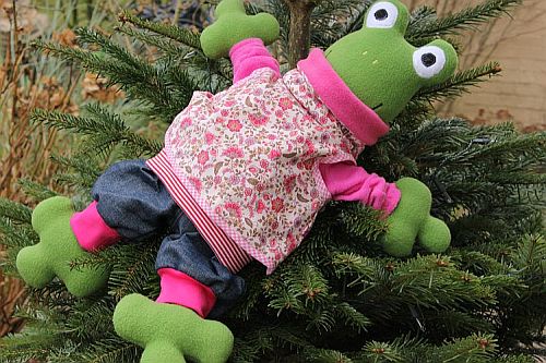 Ein Frosch