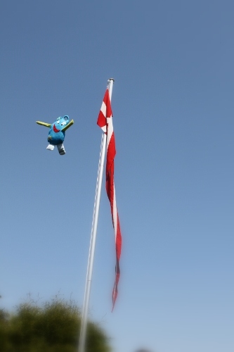 Darf ich vorstellen...