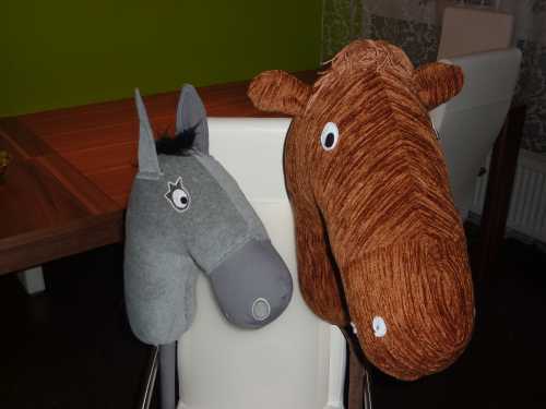 Gestatten: Ochs und Esel!