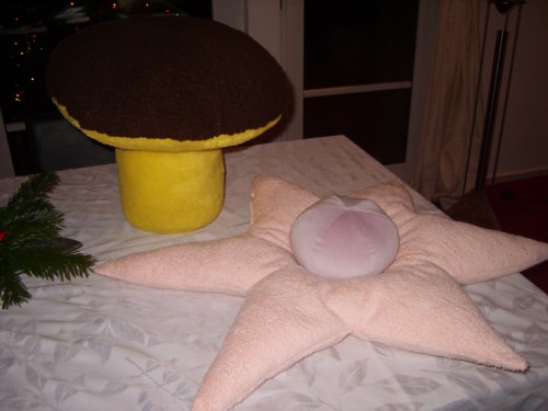 Noch ein Bild von