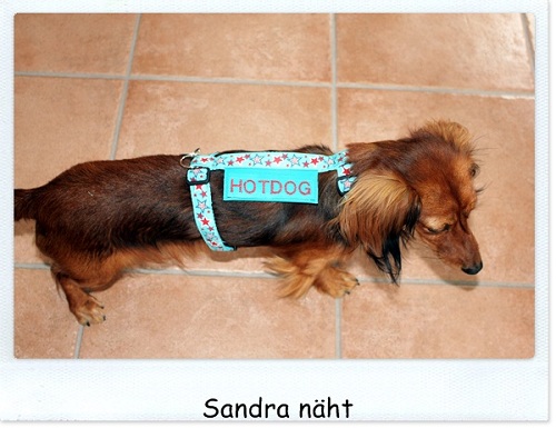 Ein neues Geschirr...