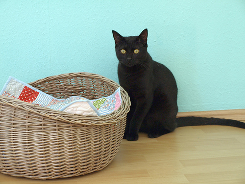 quilt. fr die katz'.