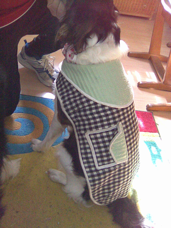 alles fr den hund.....