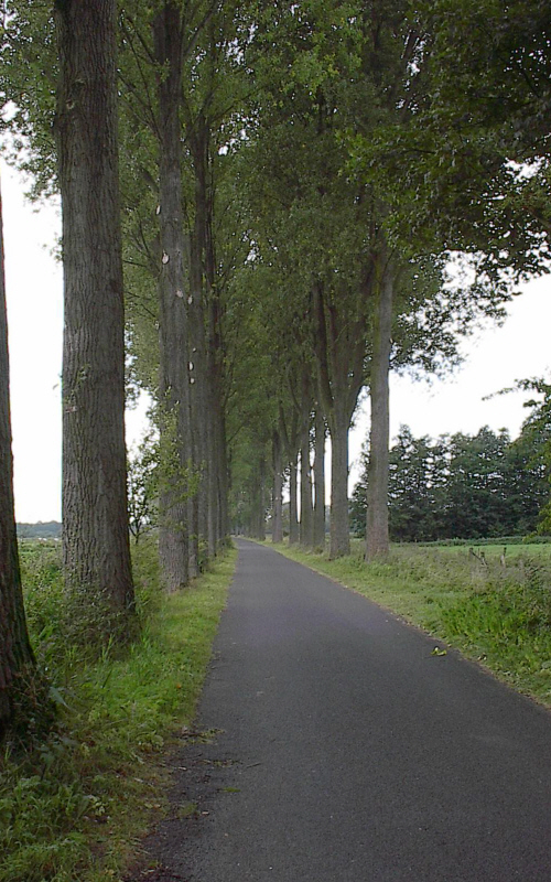 Der Weg fr alle Stoffschtigen vom Niederrhein....