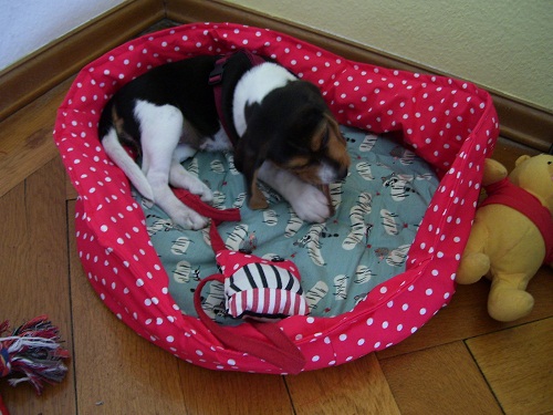 Hundekorb