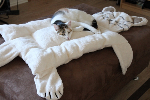 Miezencouchingkuschelplatz die 2. ...