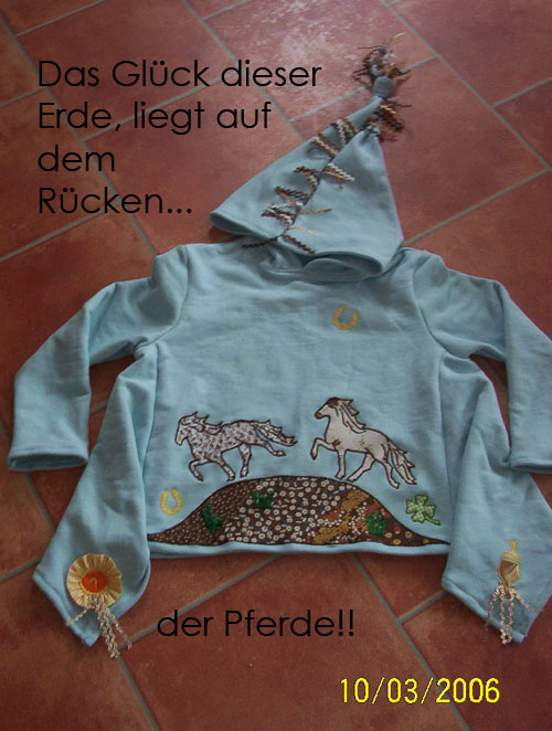 Die Island-Pferde sind los!