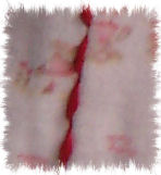 Anjana gestckelt, Detail