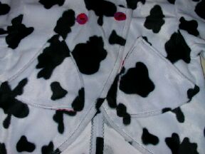 Detailbild