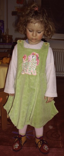 Zebra - Kleid von Petra