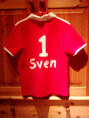 Trikot von hinten