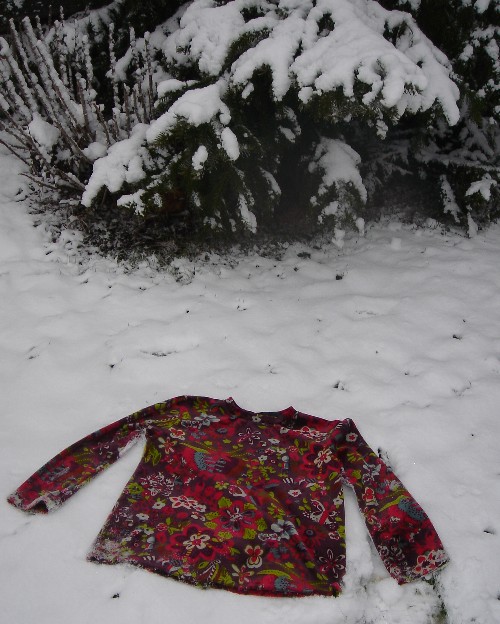 Einfache Nicky-Imke (im Schnee)