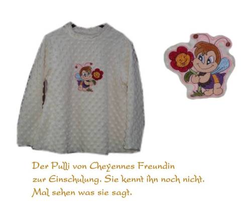 Einschulungspulli