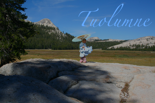 Tuolumne Meadows