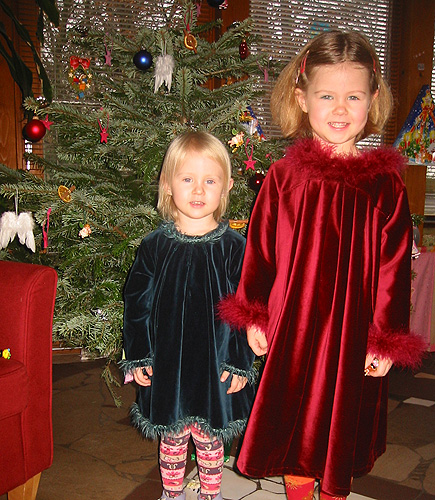 Weihnachtskleid Nr.2