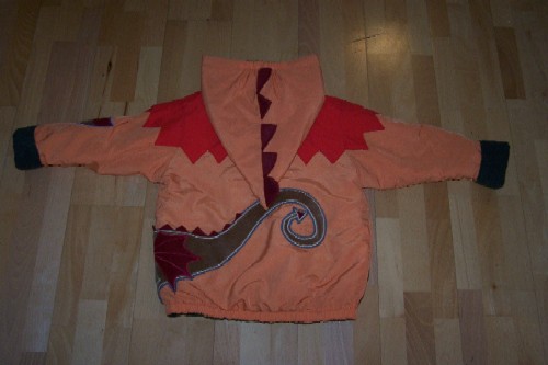 Drachenjacke von hinten