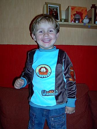 Garfield Pulli