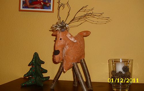 Er sucht noch seinen Wald