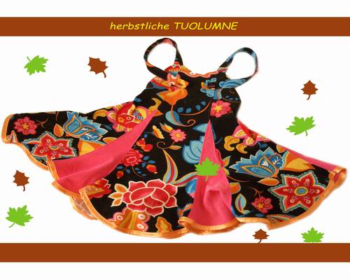 Herbstliche TUOLUMNE