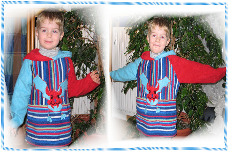 Fledermaus-Pulli