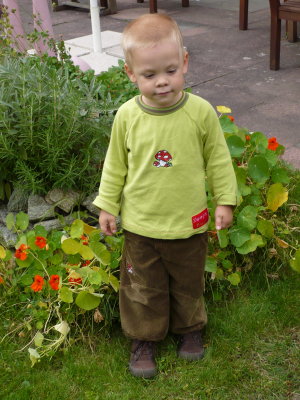 Pilzkombi