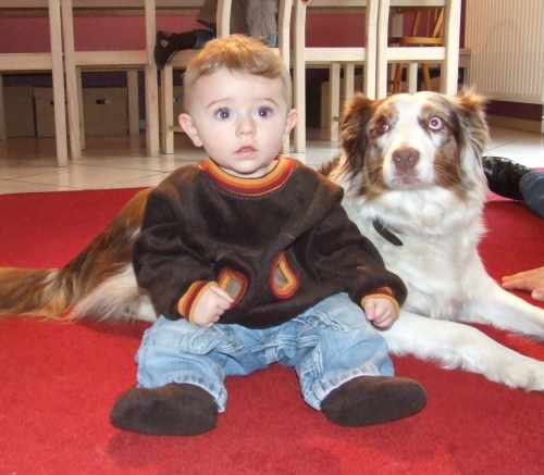 ottobre pulli fr kleine Bengel