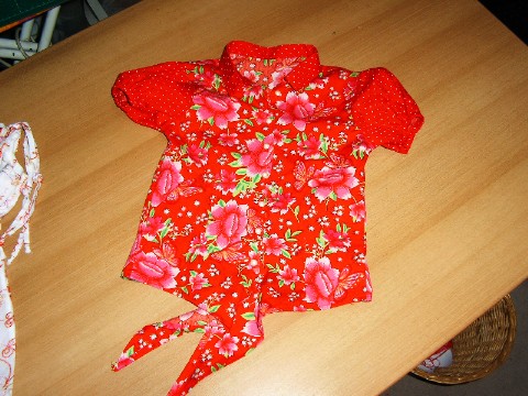 die Bluse dazu