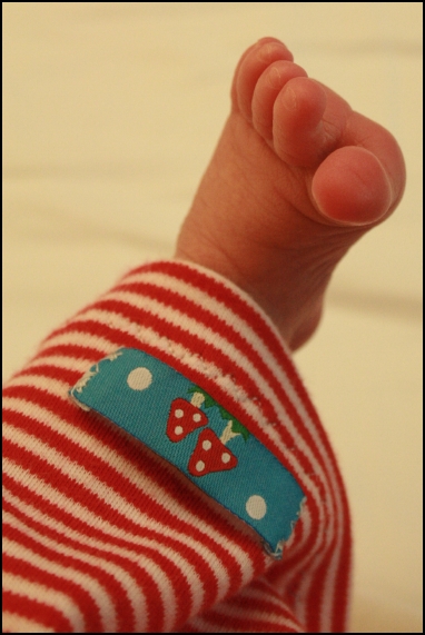 Kleiner Ausschnitt...