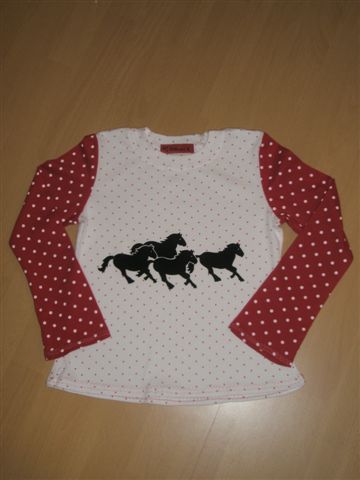 ... das Shirt gabs auch noch ...