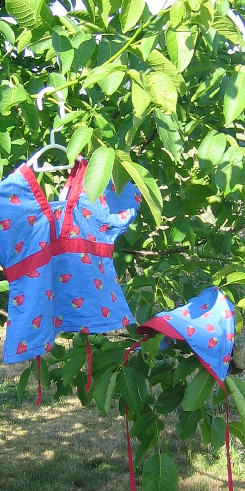 zum Geburtstag gibts Erdbeeren