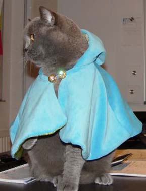 Poncho fr Alwin