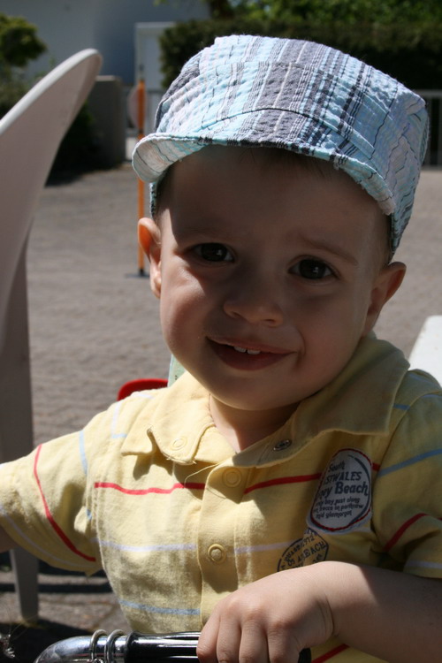 Schildbandana fr....