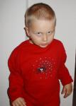 Gepimptes Spinnenglitzershirt!