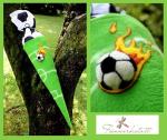 Fuball-Schultte