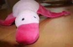 Ente Emma