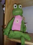 Froschprinzessin 1