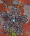 die Blume