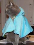 Poncho fr Alwin